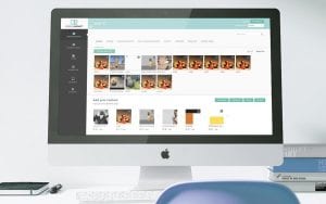 Responsive UI design showcasing digital signage for business support services management